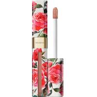 Dolce and Gabbana Long Lasting Liquid Lipsticks