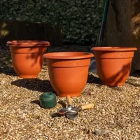 Wham Terracotta Pots