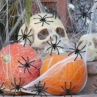 SHEIN Indoor Halloween Decorations