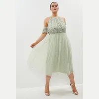 Coast Plus Size Summer Dresses