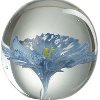 Latitude Run Decorative Globes