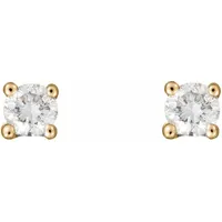 Muse Boutique Women's Gold Earrings