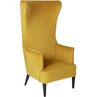 MUCOLA Velvet Armchairs