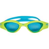 Arena Swimming Goggles