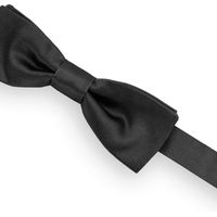 FARFETCH Dolce and Gabbana Men's Black Ties