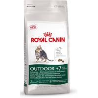 Royal Canin Cat Dry Food