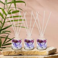 Bravich Reed Diffuser