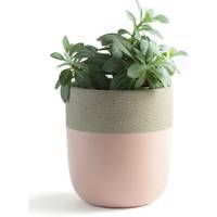 La Redoute Ceramic Plant Pots