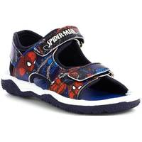 Shoe Zone Spiderman Shoes For Kids