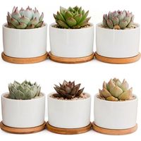 Simpa Ceramic Plant Pots