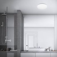 Briloner Bathroom Ceiling Lights