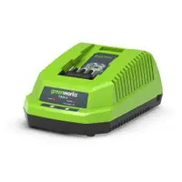 Greenworks Batteries & Chargers