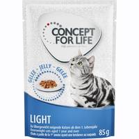 Concept for Life Cat Wet Food