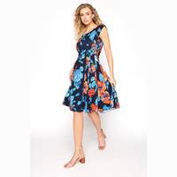 Long Tall Sally Women's Occasion Dresses