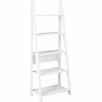 LPD Ladder Shelves