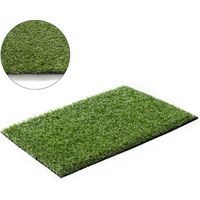 ManoMano RUGSX Artificial Grass