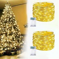 SHEIN Warm White String Lights