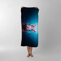 Warren Reed Designer Beach Towels