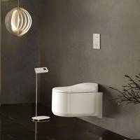 Grohe Rimless Toilets