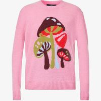 Max Mara Women's Knitted Jumpers