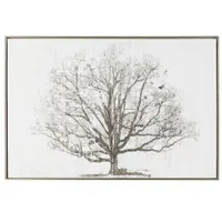 Fernleaf Framed Prints