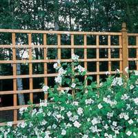 Forest Garden Square Fence Panels