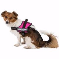 Pets at Home Dog Harnesses