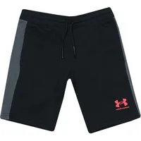 Under Armour Boy's Fleece Shorts