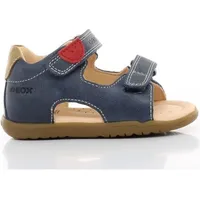 Spartoo Geox Toddler Boy Shoes