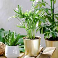 YouGarden Indoor Plant Pots