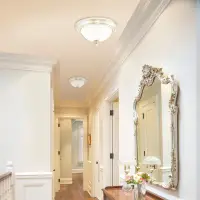 Westinghouse Ceiling Lights