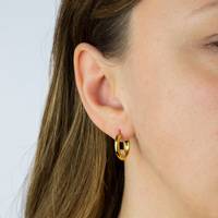 Elements Women's Gold Earrings