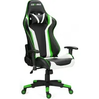 RayGar Gaming Chairs