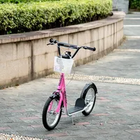 Wayfair Scooters