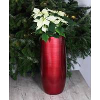 Ebern Designs Round Vases