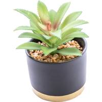 Candlelight Ceramic Plant Pots