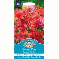 Homebase Sweet Pea Plants