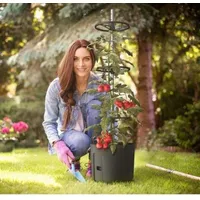 Cherry Lane Garden Centres Self Watering Pots