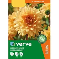 Verve Flower Bulbs