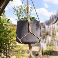 Primrose Hanging Pots & Planters