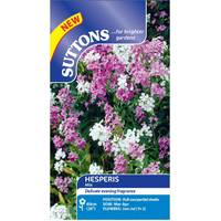 Suttons Plants