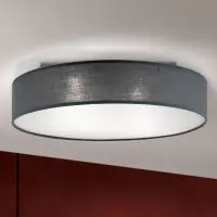 Orion Round Ceiling Lights