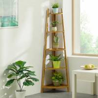 Living and Home Ladder Shelves
