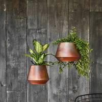 Ivyline Hanging Pots & Planters