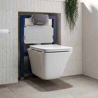 Appliances Direct Rimless Toilets