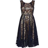 Wallis Midi Dresses With Sleeves for Women