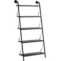 Williston Forge Ladder Shelves