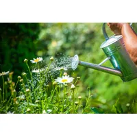 ManoMano UK Garden Watering