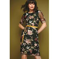 Womens Embroidered Dresses From Next UK