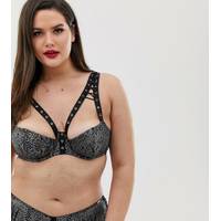 Figleaves Plus Size Bras